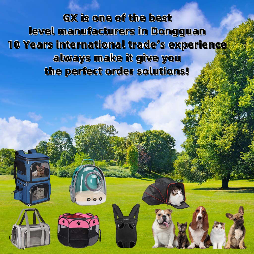 2025 Anti-Anxiety Bubble Backpack X1: Airflow 360° System|GX-CASE 10