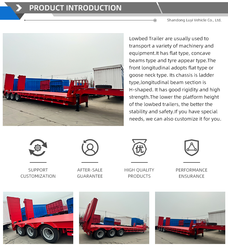 3 Axle Gooseneck Semi Truck Trailer | Luyi 9
