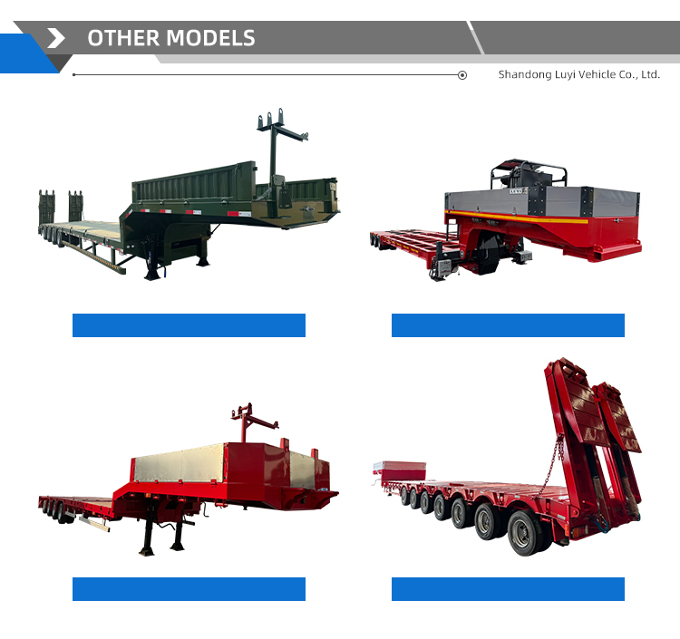 3 Axle Gooseneck Semi Truck Trailer | Luyi 11