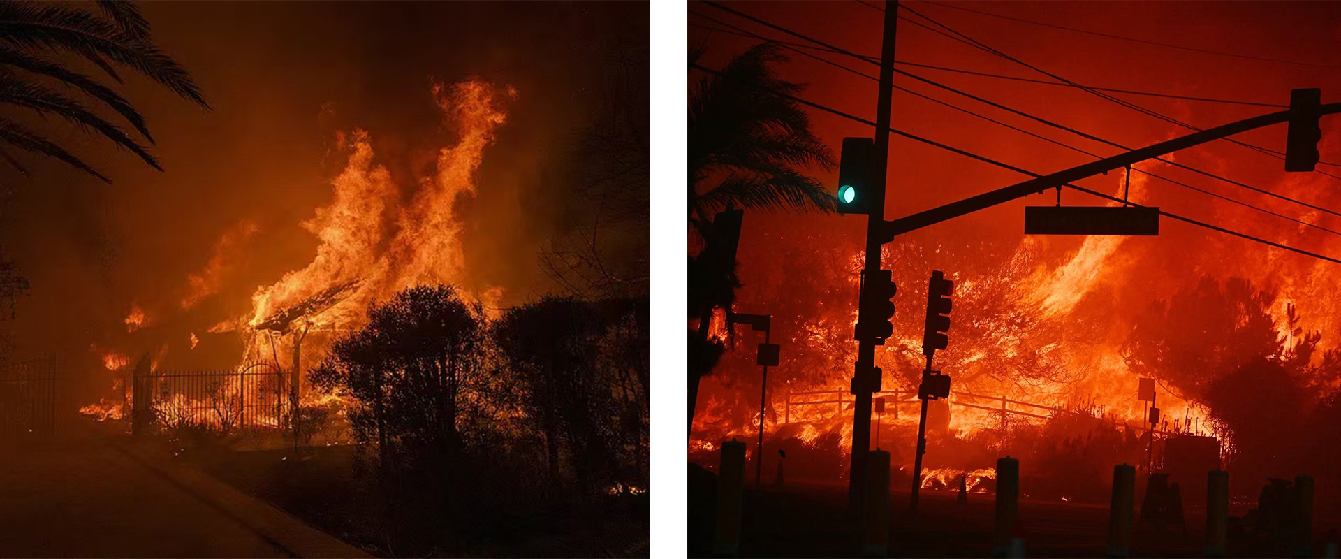 Ứng phó nhanh chóng với cháy rừng ở California: Giải pháp tốt nhất với Nhà container gấp và Nhà cắm trại có thể mở rộng 1