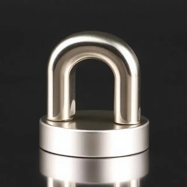 What Factors Should I Consider When Purchasing Alnico Magnets 1