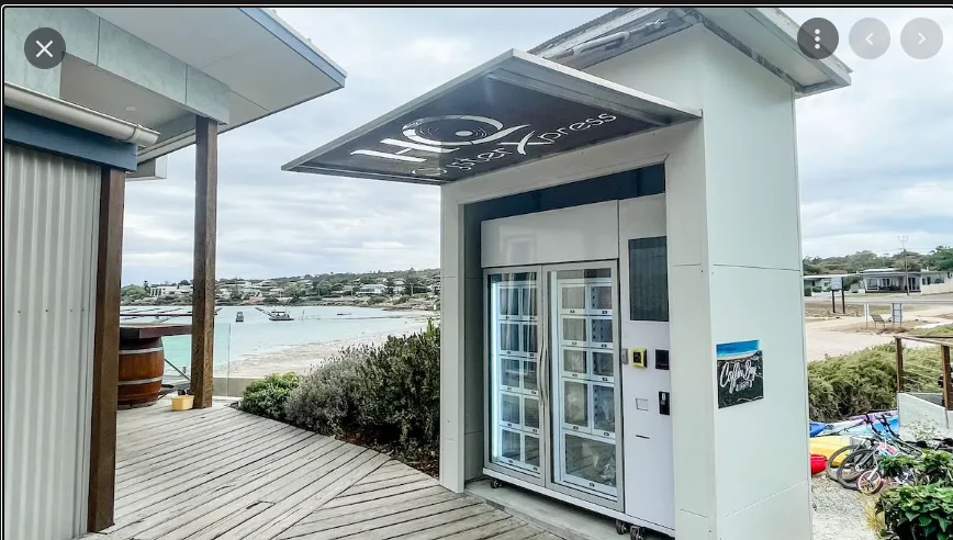 لماذا أصبحت آلات بيع الأطعمة المجمدة محرك النمو التالي لتجارة التجزئة في اليابان؟ 1