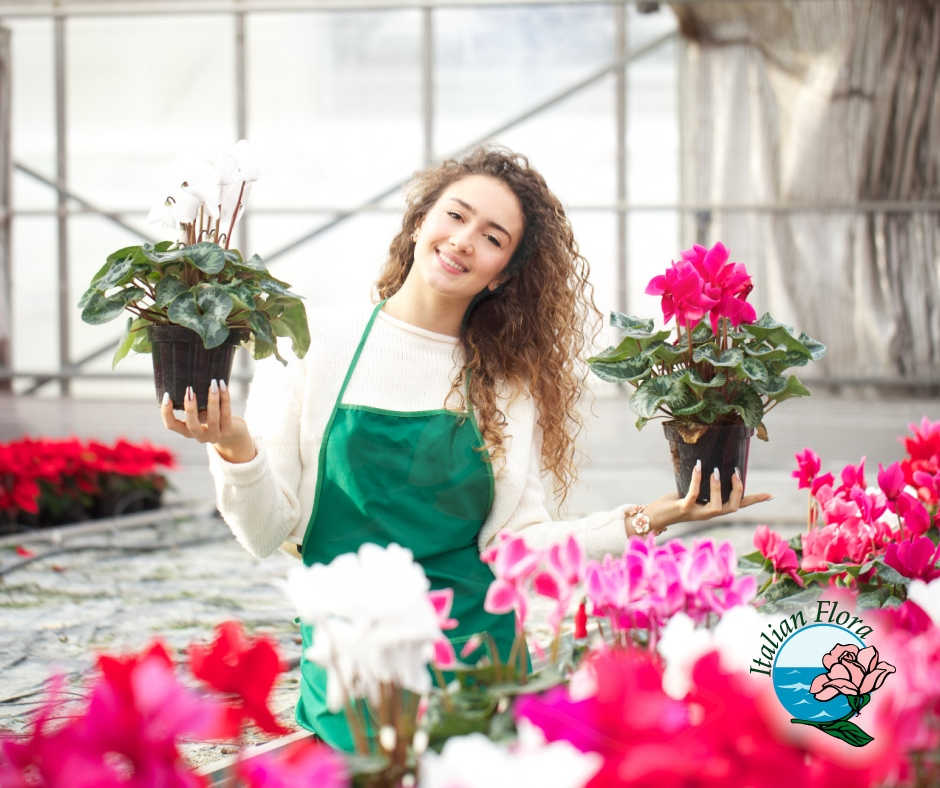 The Transformation Journey of Flower & Gift Vending Machines in Georgia 1
