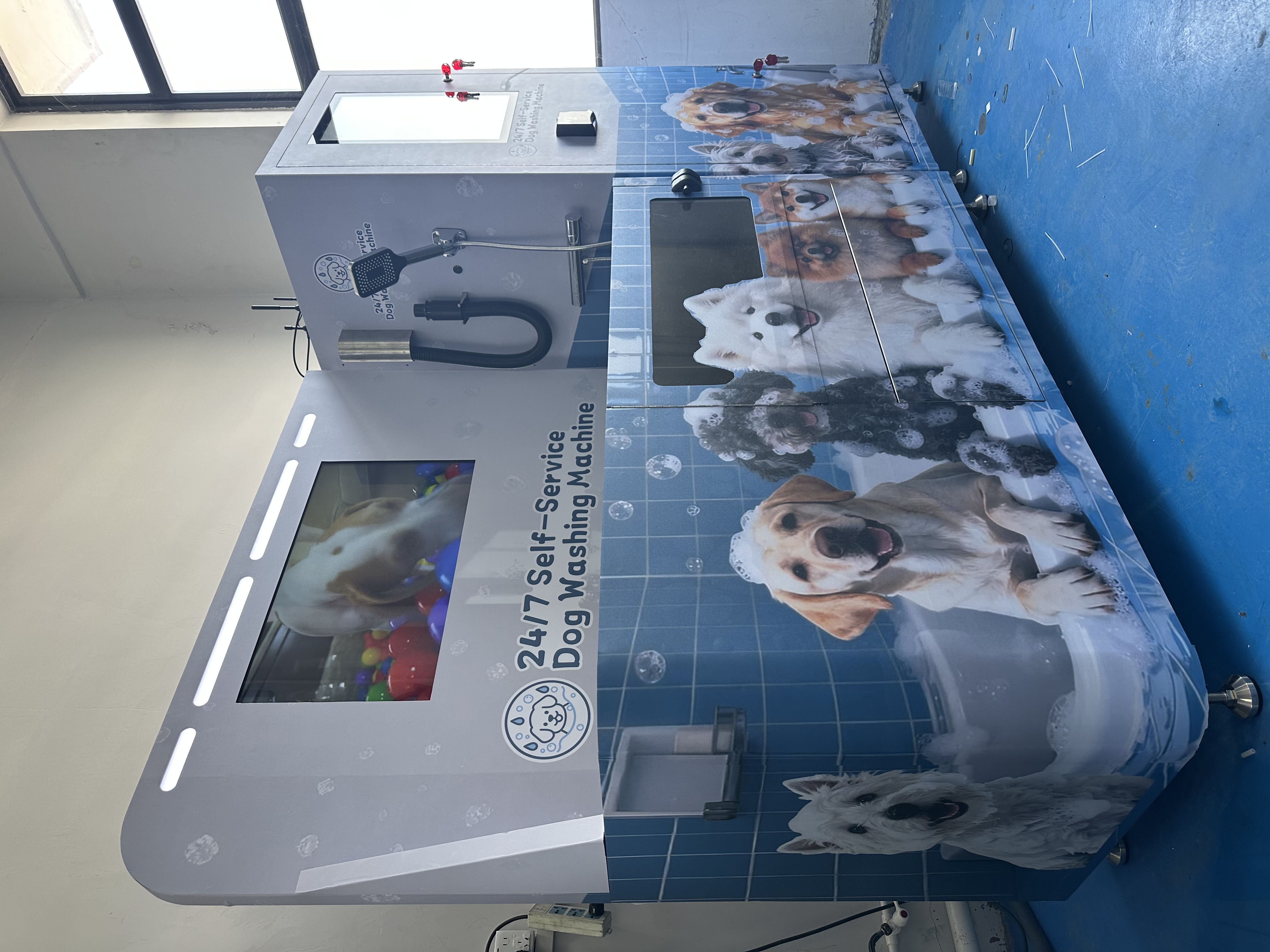 How the Self-Service Dog Wash Machine is Changing Pet Grooming in the UAE 1