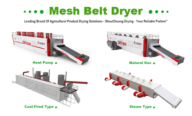 알팔파, 말풀, 모링가 잎, 질경이 건초용 연속 컨베이어 메쉬 벨트 건조기 11