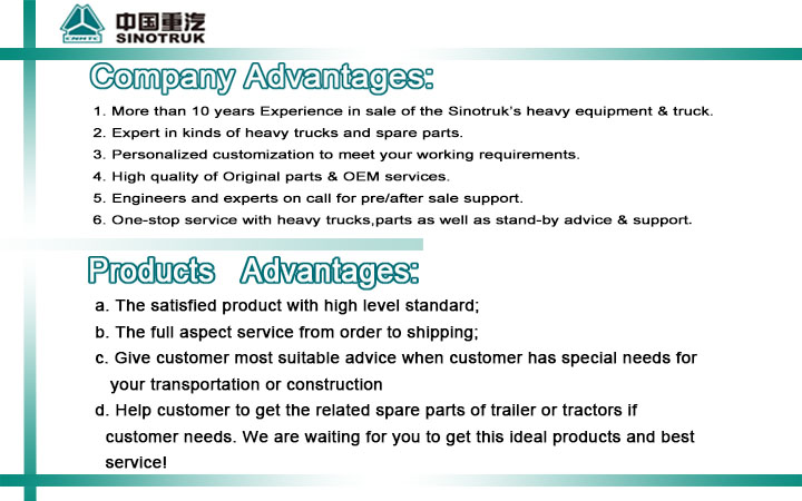 Sinotruk Howo 8x4 Left-hand Drive Dump Truck For Cheap Sale 13