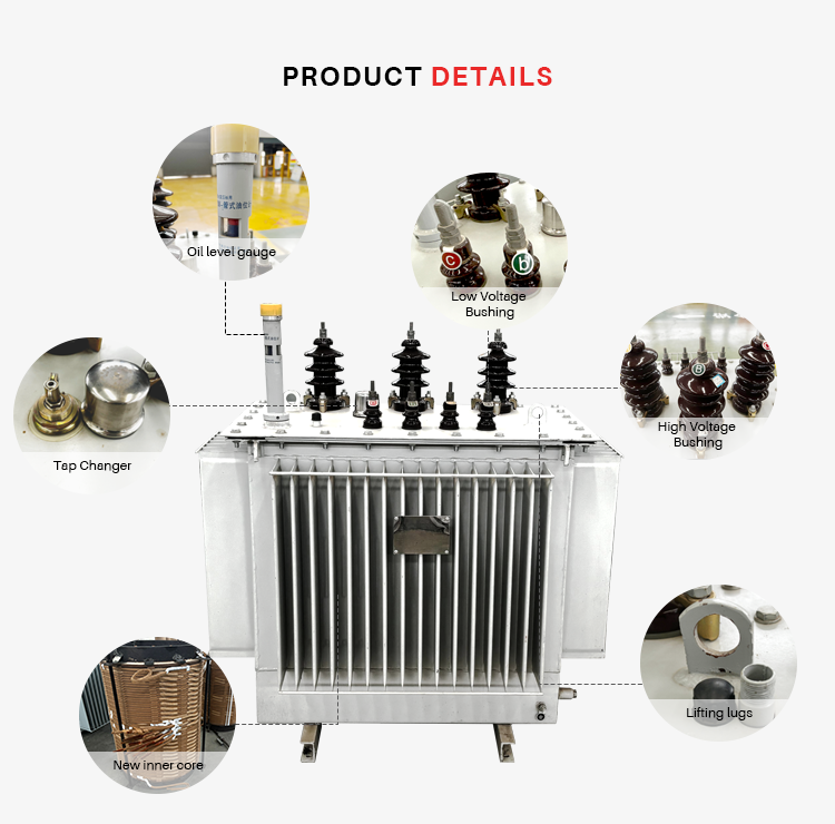 Oil Immersed Power Distribution Transformer 30kva-100mva 220v-220kv 10