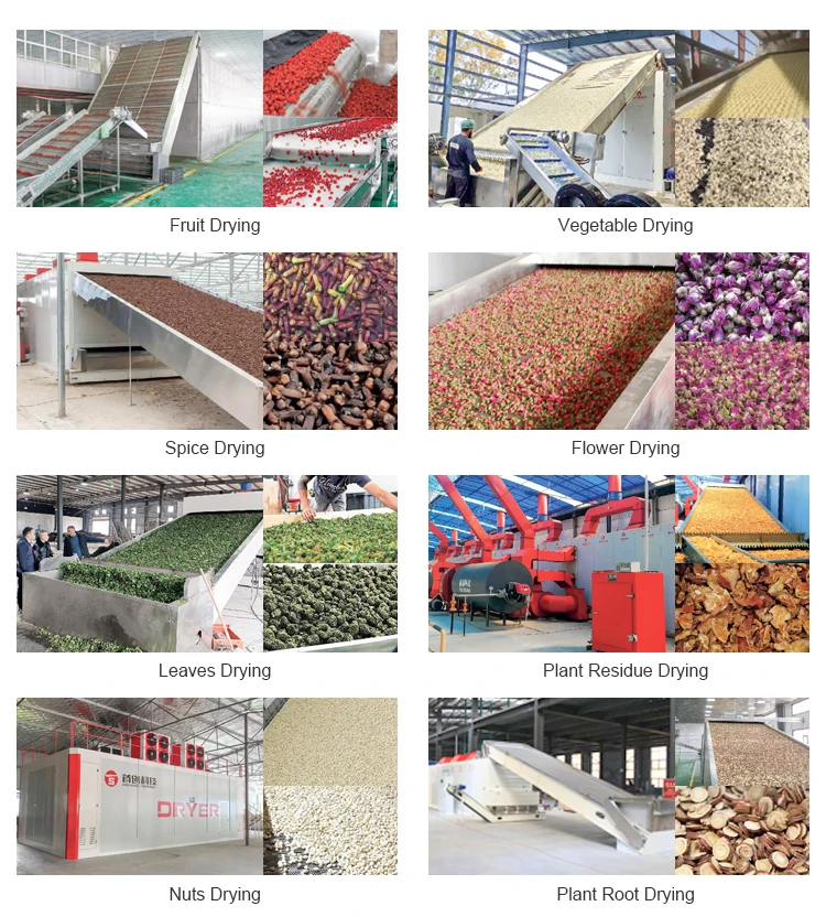 알팔파, 말풀, 모링가 잎, 질경이 건초용 연속 컨베이어 메쉬 벨트 건조기 13