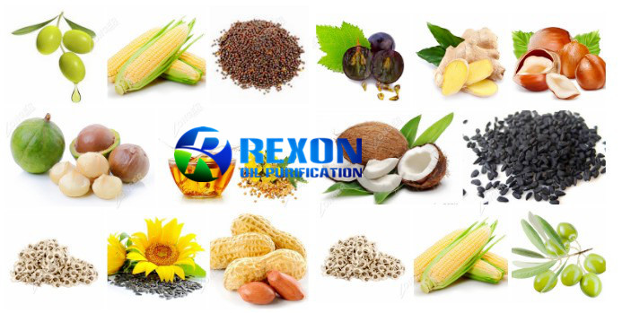 Coconut Oil Presser | Oil Pressing Machine 2