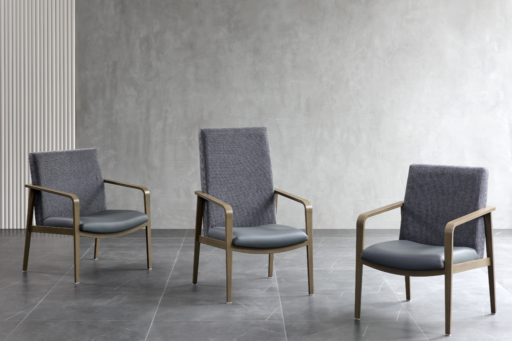 Oche oche dị elu maka ndị agadi: Ọ ga-enwerịrị maka nkasi obi 1