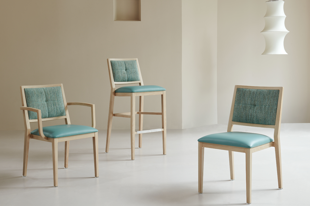 Otu esi ahọrọ oche nri kwesịrị ekwesị na ogwe aka maka ndị agadi? 2