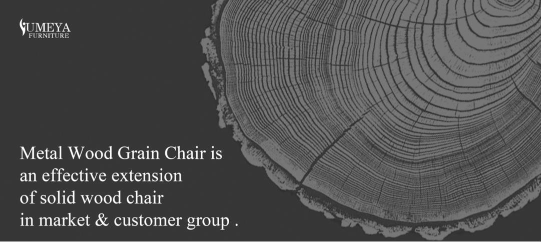 Yumeyaمېتال ياغاچ دانچىسى ياشانغانلار ئورۇندۇق ئۇزۇن مۇددەتلىك چىداملىق بولۇپلا قالماي ، يەنە چىرايلىق كۆرۈنىدۇ 1