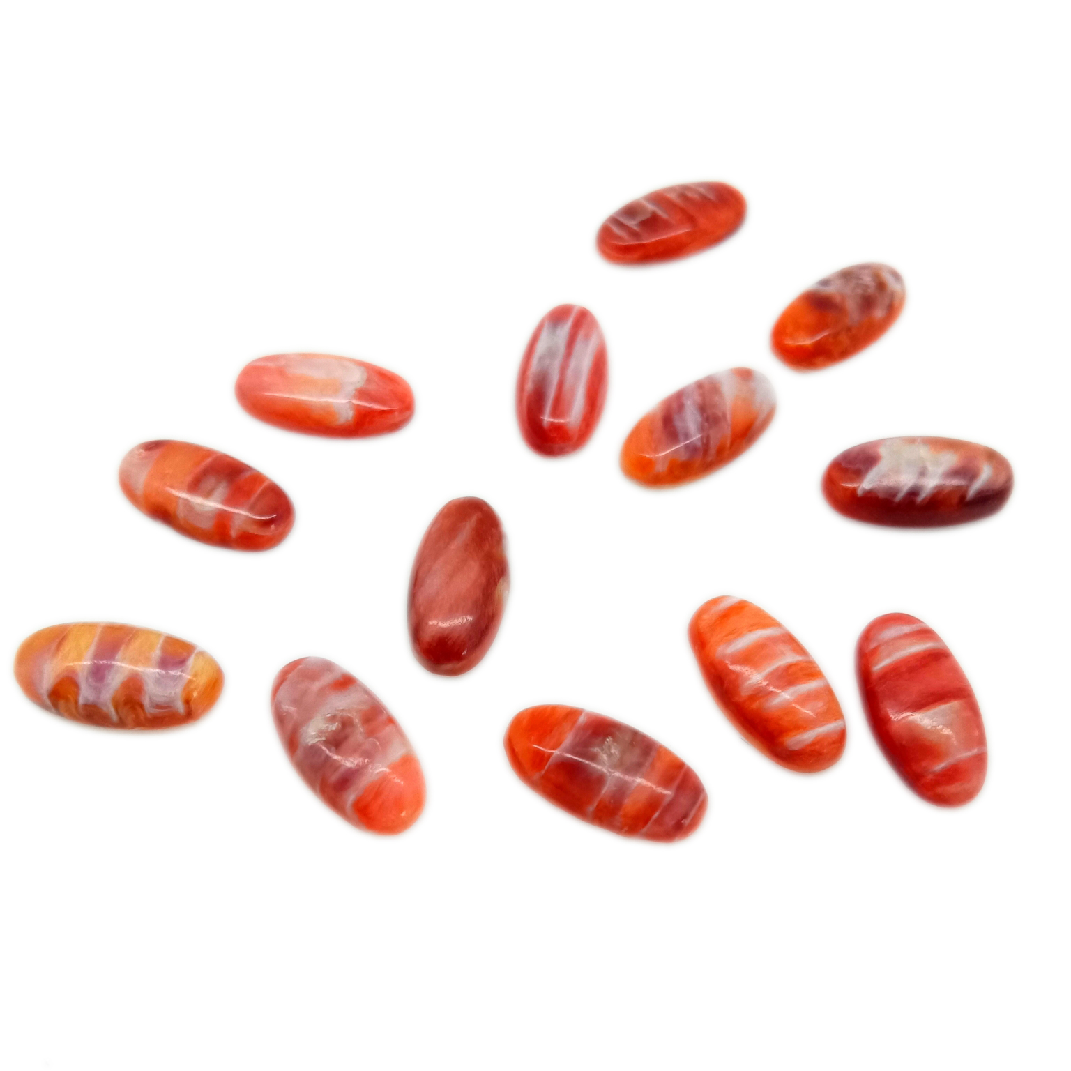 Spiny Oyster Orange Smooth Cabochons 5 * 10mm 14