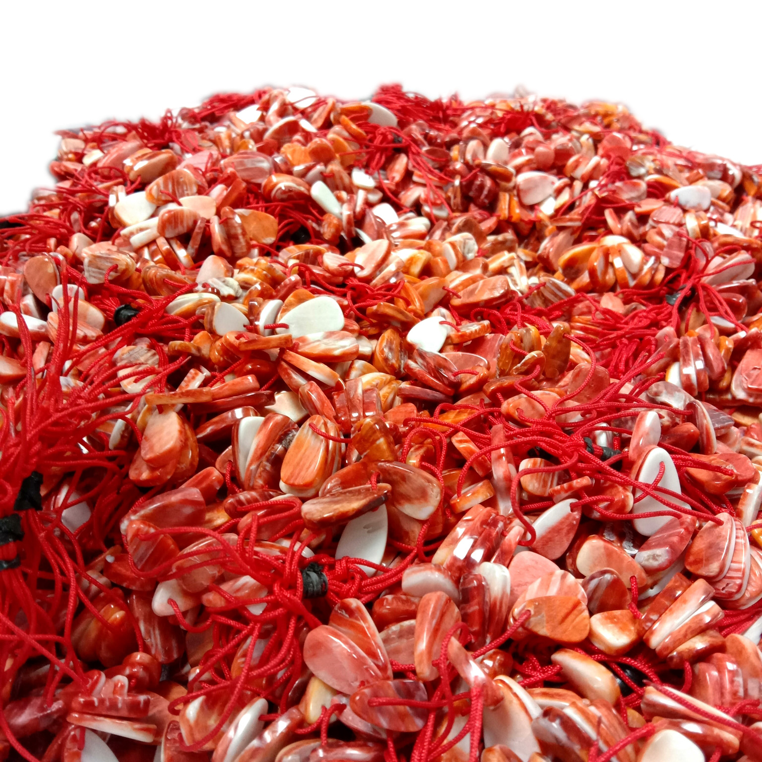 Spiny Oyster Plhaub Cab Txiv kab ntxwv Cabochon Ntuj 14