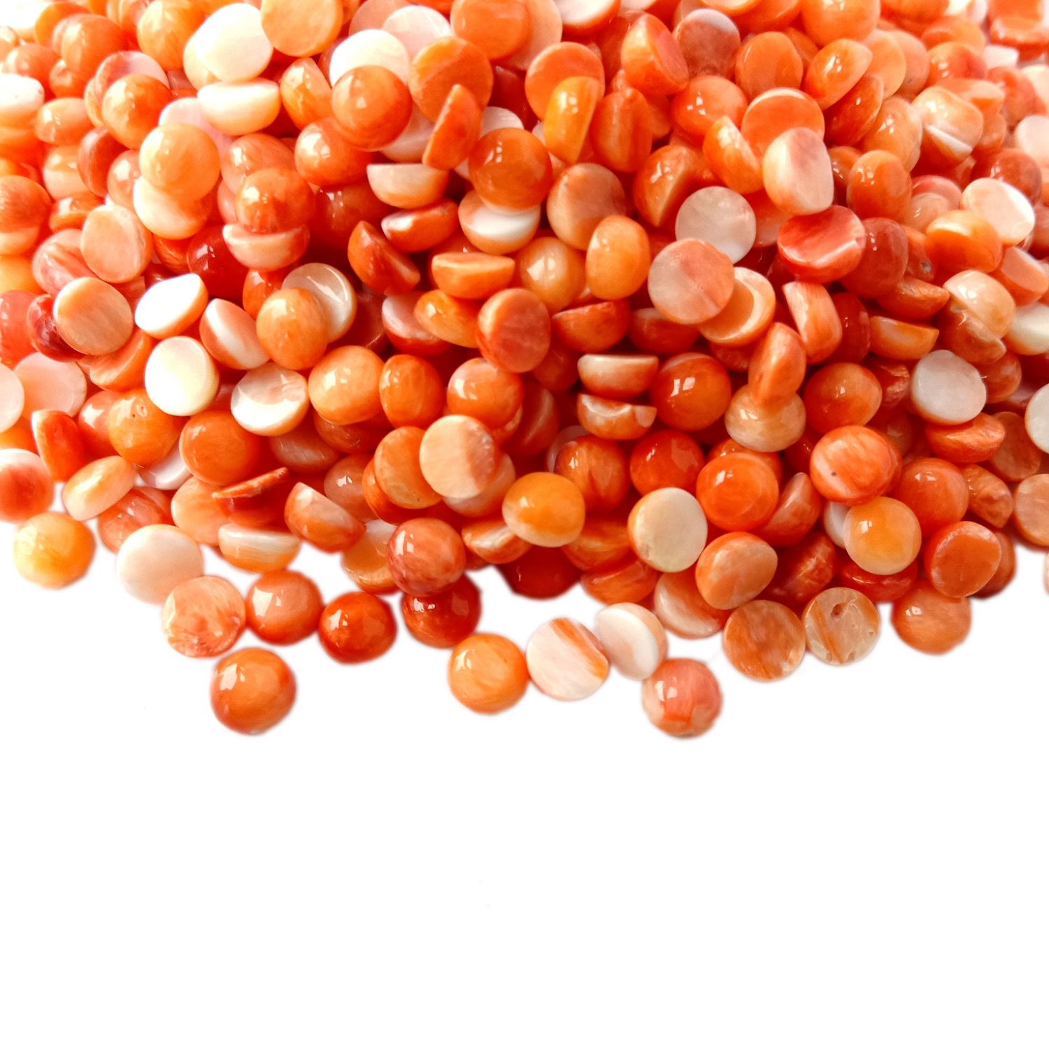 4MM Shell Cabochon 3A Quality Natural Shell Cab Spiny Orange Shell Round Cabs 14