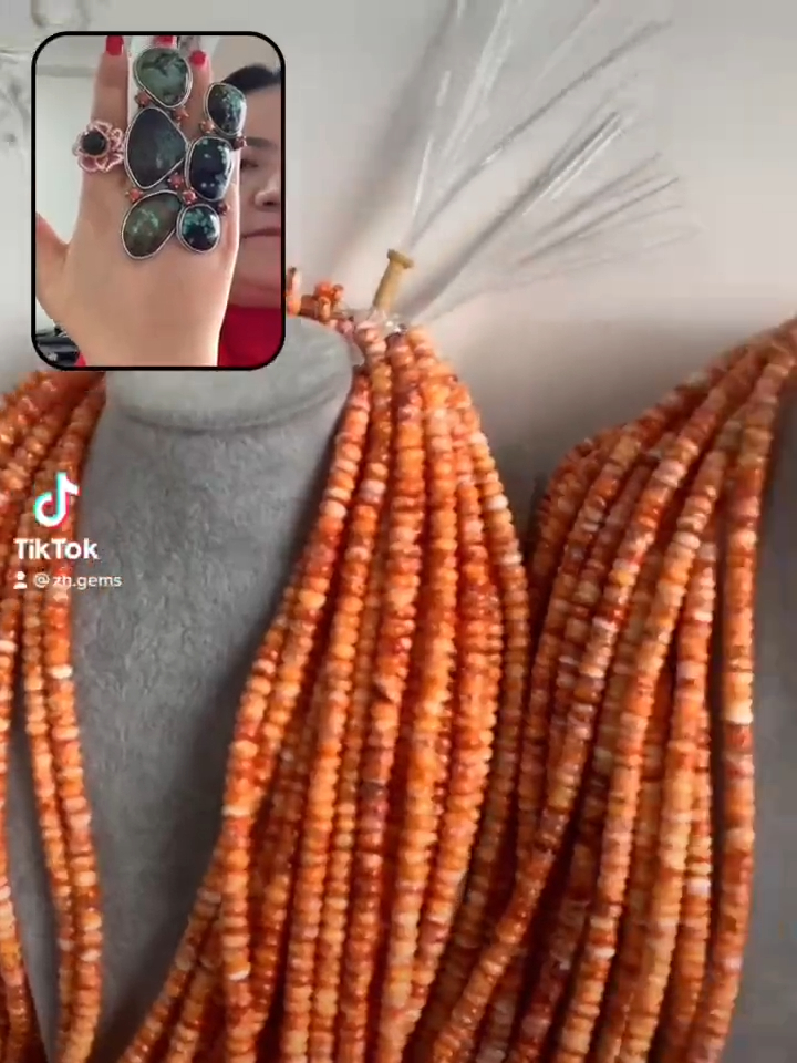 Spiny oyster Rondell მძივები 150 კგ ვაჭრობა 8