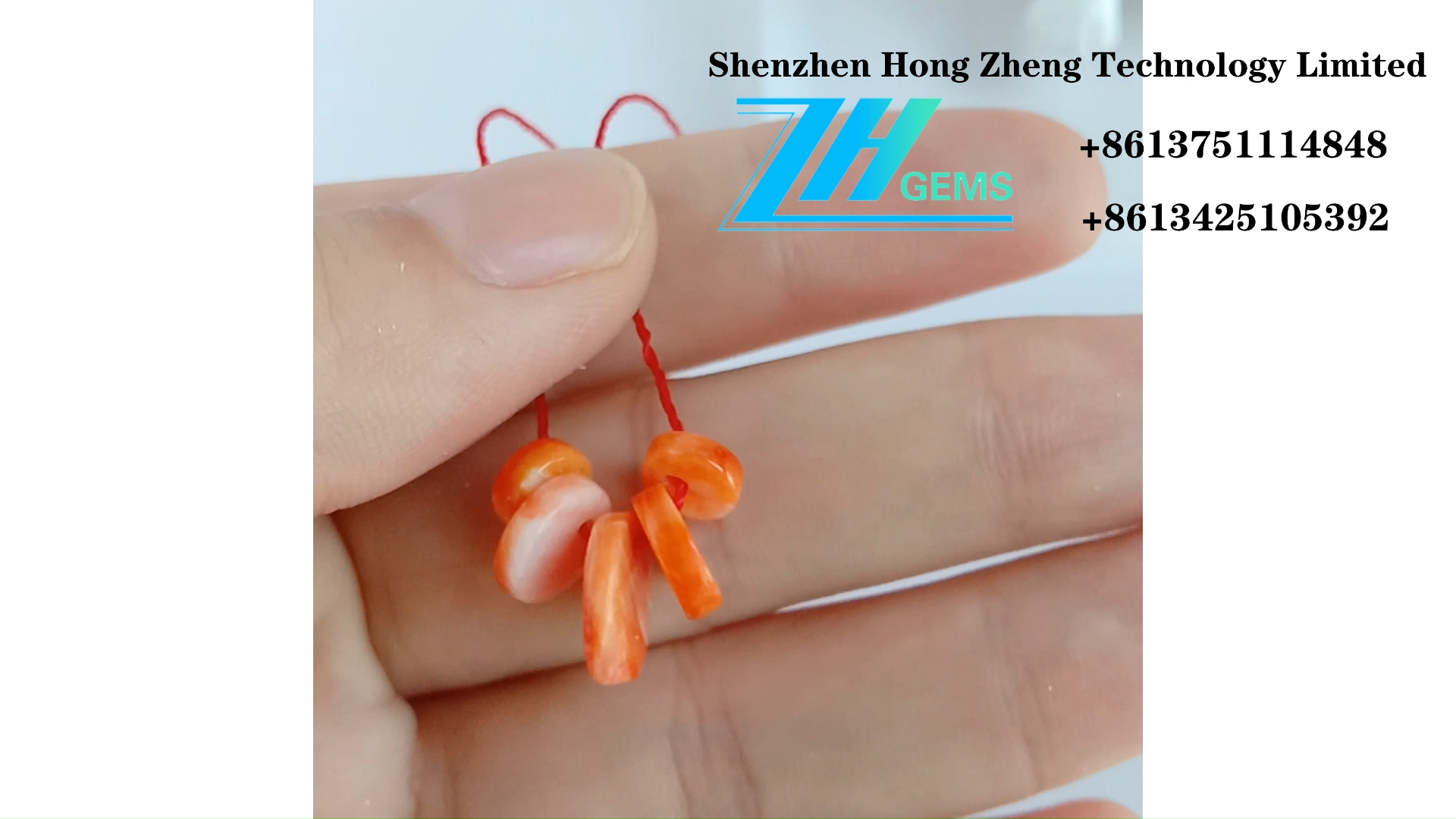 صدف خاردار Gemstone Cabochon Mexico orange صدف خاردار 8