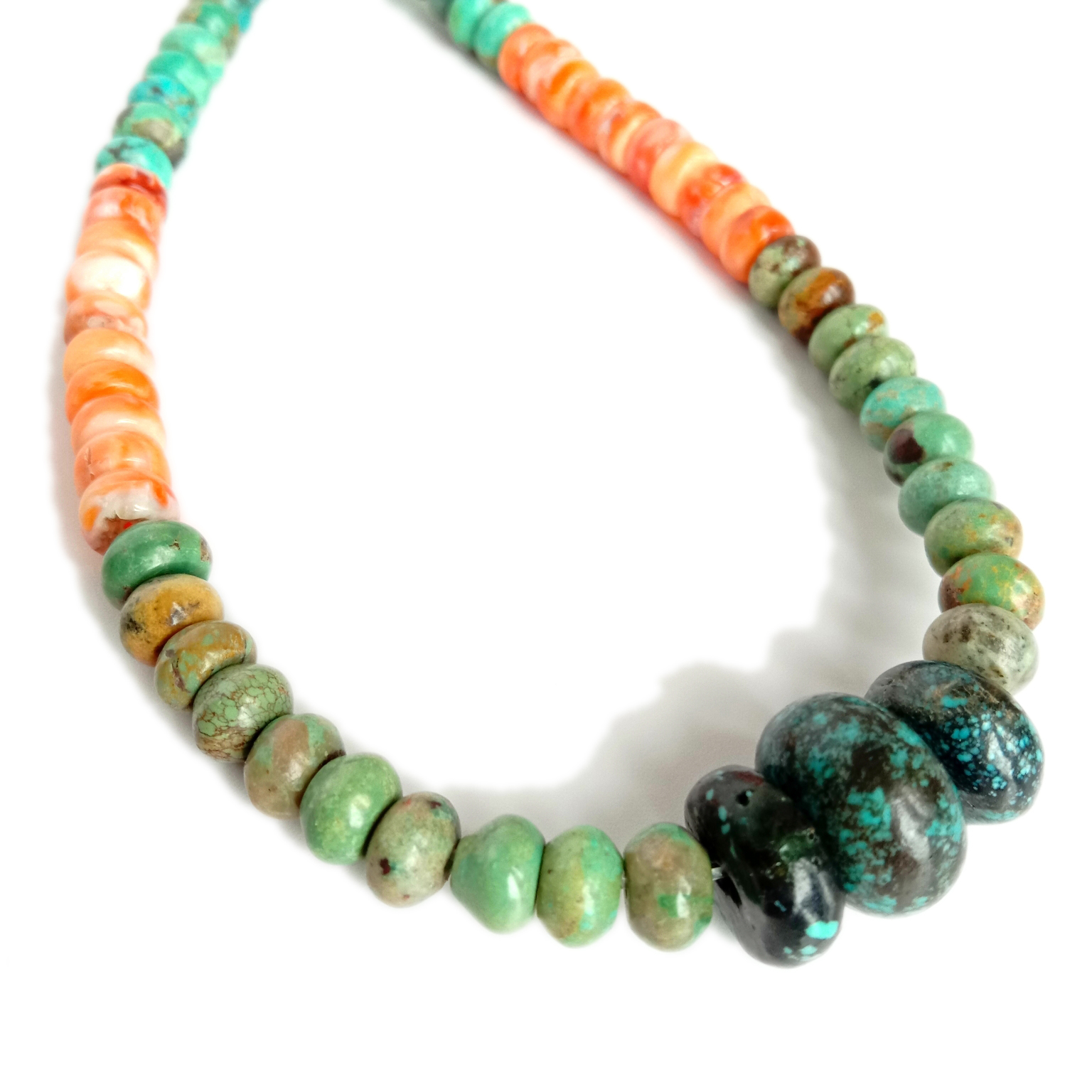 turquoise Turquoise ma faisua spiny Ma'a ma'a taua asoa mea taulima masani. 15