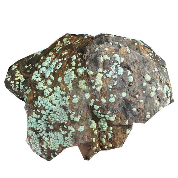 Bästa kvalitet val bulk turkos cabochon 9