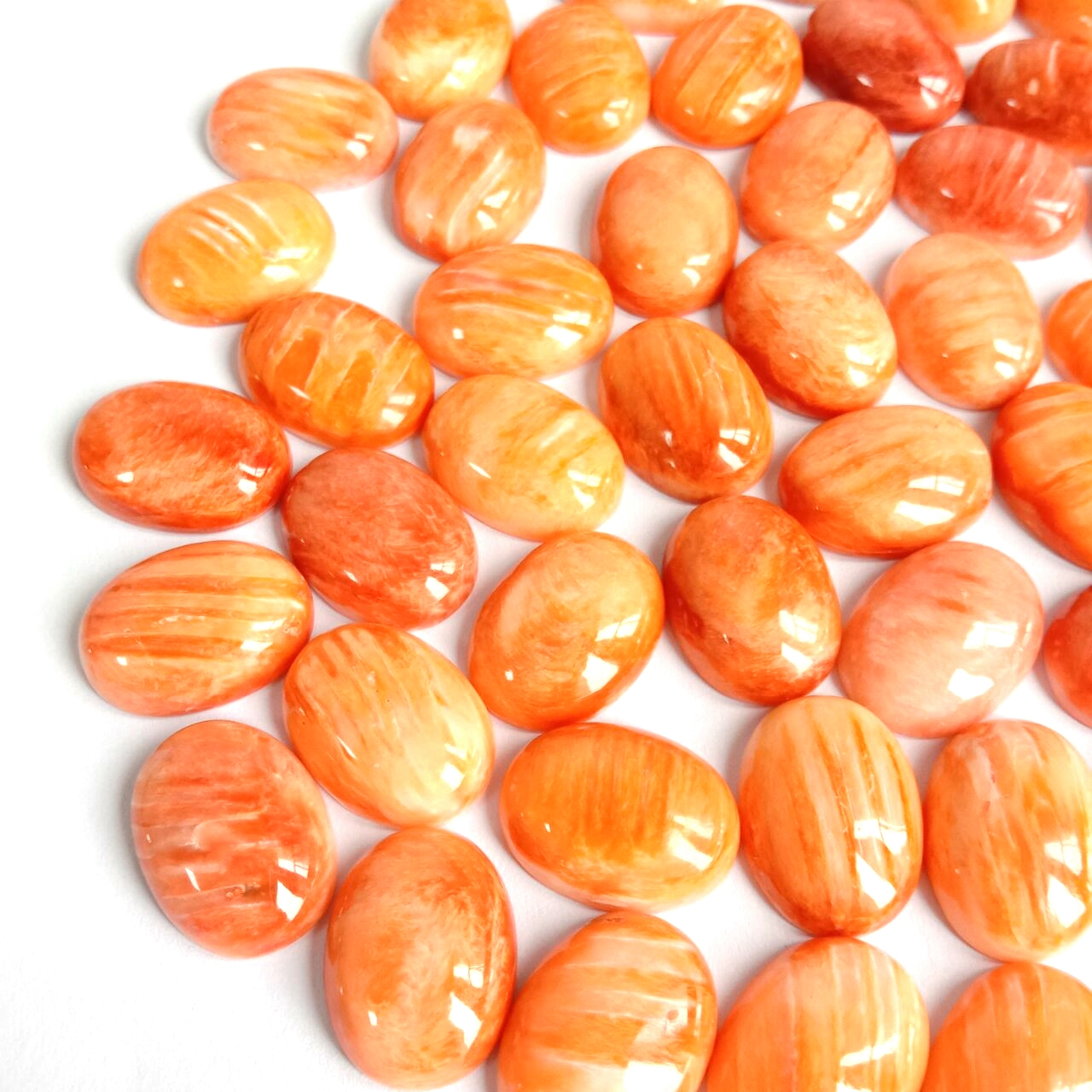Toppkvalitet Spiny Oyster Shell Oval Cabochon 12x16 mm 9
