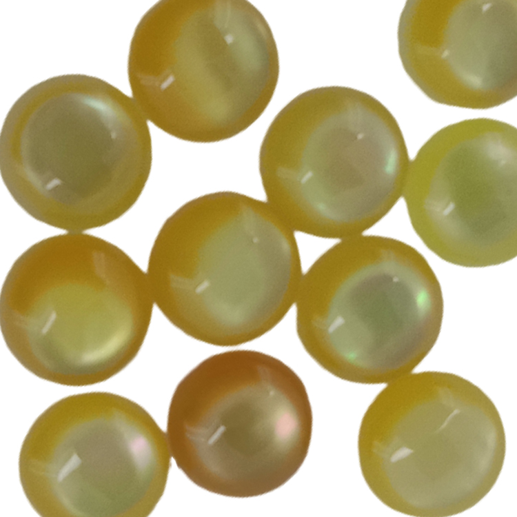 Natural Gold Shell Round Cabochon Shell Jewelry 14