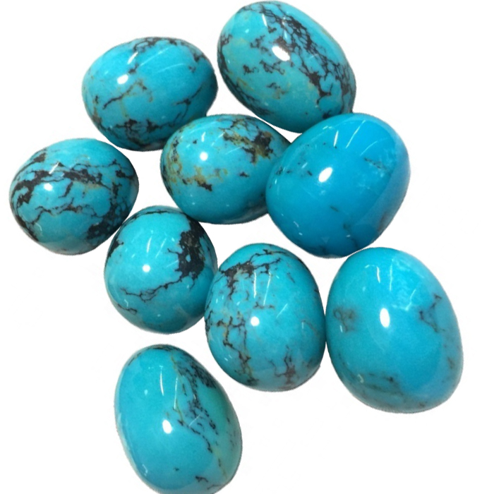 Coghju di coghju di ladri turchese turchinu robba uovo 18