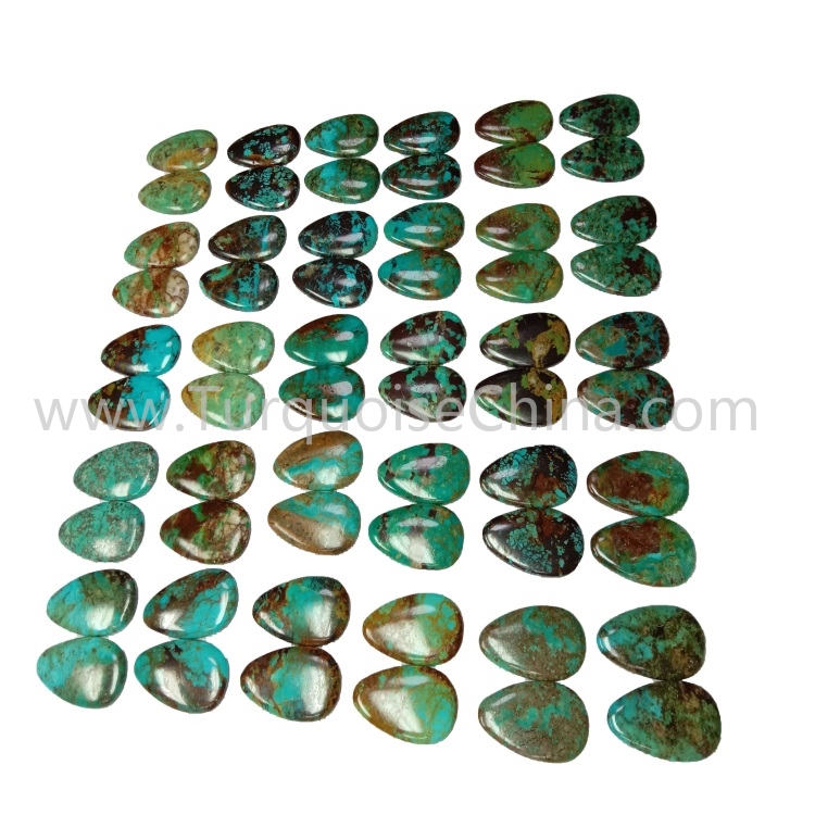 ויסגעצייכנט וואָס איז קאַבאָטשאָן טערקווויז צושטעלן | זש געמס 6