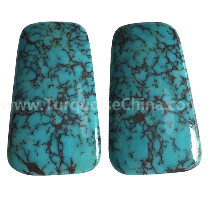 אָעם & אָדם גרין טערקווויז שטיין פּרייַז רשימה | זש געמס 6