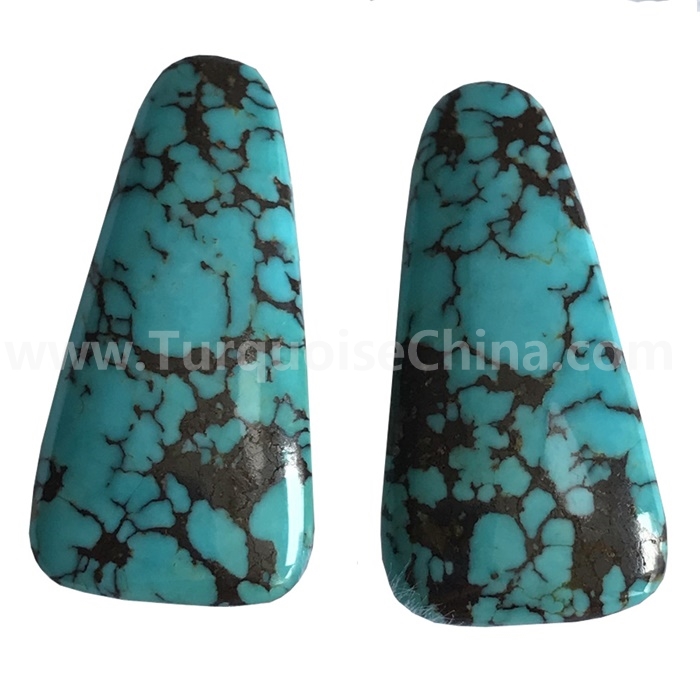 זש געמס | שפּיץ רייטאַד טערקווויז בענעפיץ סאַפּלייער 6