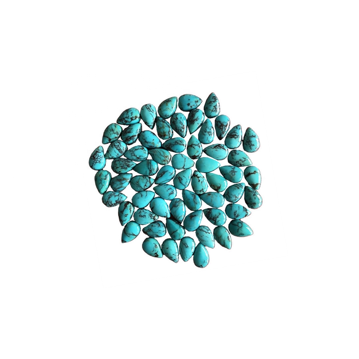 אָעם & אָדם קאַבאָטשאָן דעפֿיניציע פּרייס רשימה | זש געמס 6