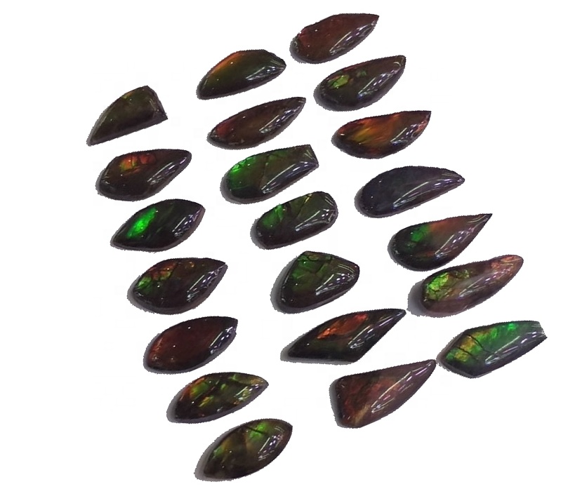 Ammolite Freeform Cabochon pasangan stor kulit naga naga naga 9