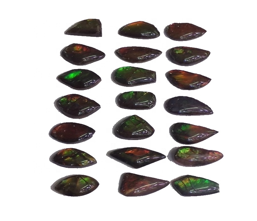 Ammolite Freeform Cabochon pasangan stor kulit naga naga naga 7