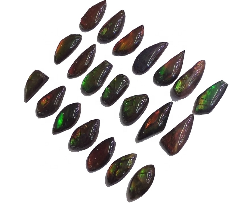 Ammolite Freeform Cabochon pasangan stor kulit naga naga naga 11