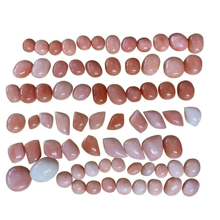 ଅଦ୍ୱିତୀୟ ପ୍ରାକୃତିକ ଗୋଲାପୀ ଓପାଲ୍ ମୋତି କାବୋଚନ୍ ରତ୍ନଭଣ୍ଡାର ରତ୍ନ ଭଣ୍ଡାର ସୁମଧୁର ଅଳଙ୍କାର ତିଆରି1 15