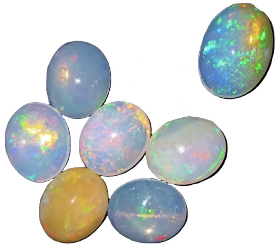 ឆ្អឹងខ្នងមានរាងពងក្រពើមានរាងពងក្រពើពណ៌ស 10 ម។ ម 11