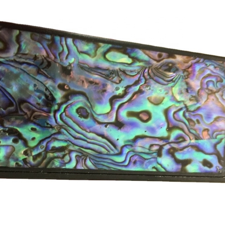 Abalone Cabochon Cabochon Abalone សែលសែល Gemstone Abalone សែលសម្រាប់ការរកលុយ 7