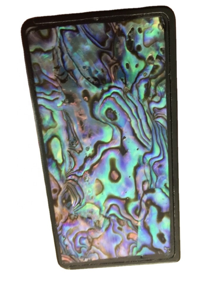 Abalone Cabochon Cabochon Abalone សែលសែល Gemstone Abalone សែលសម្រាប់ការរកលុយ 13