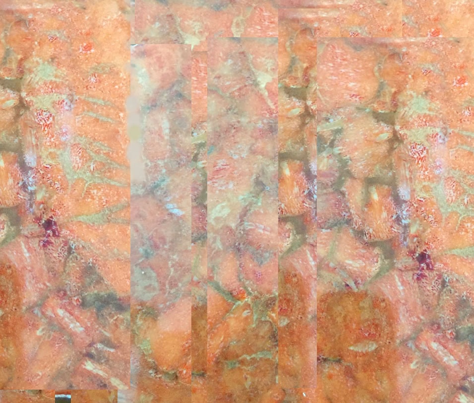 Branchi naturali di gemstone di gemstone di corrente cumpressu 17