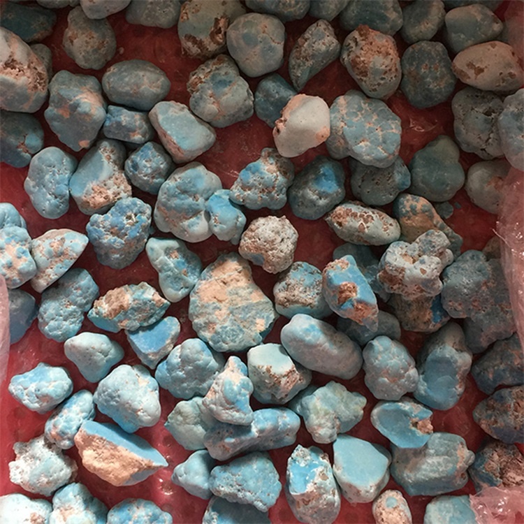 Gering Gaji Grapeine 17