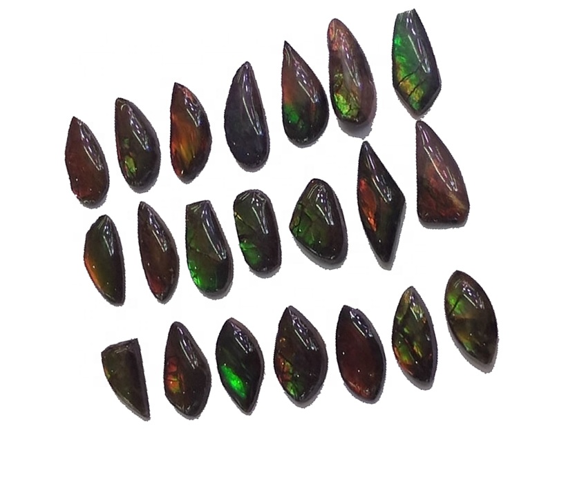 Ammolite Freeform Cabochon pasangan stor kulit naga naga naga 15