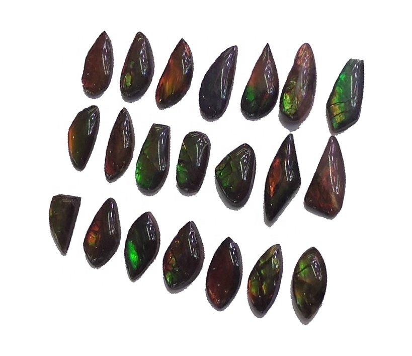 Ammolite Freeform Cabochon pasangan stor kulit naga naga naga 13