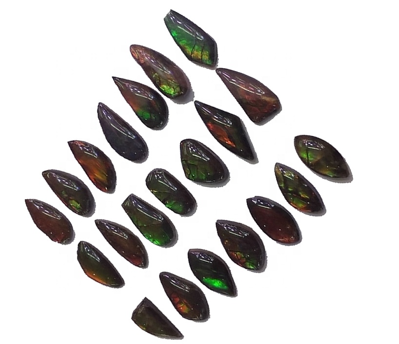 Ammolite Freeform Cabochon pasangan stor kulit naga naga naga 17