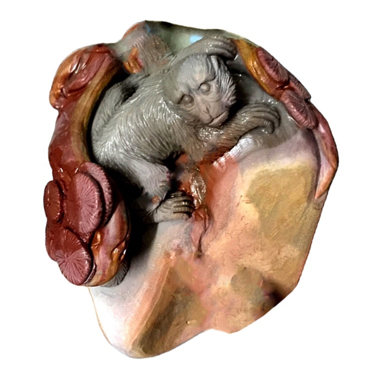 dhagxaan xayawaanka xayawaanka lagu xardhay 17