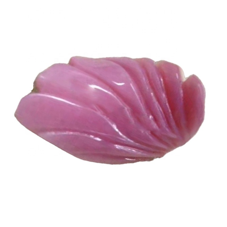 Iigreyitha ezahlukeneyo / i-amer / iintyatyambo / ikati ye-Cat / i-fox / i-shell eqingqiweyo 17