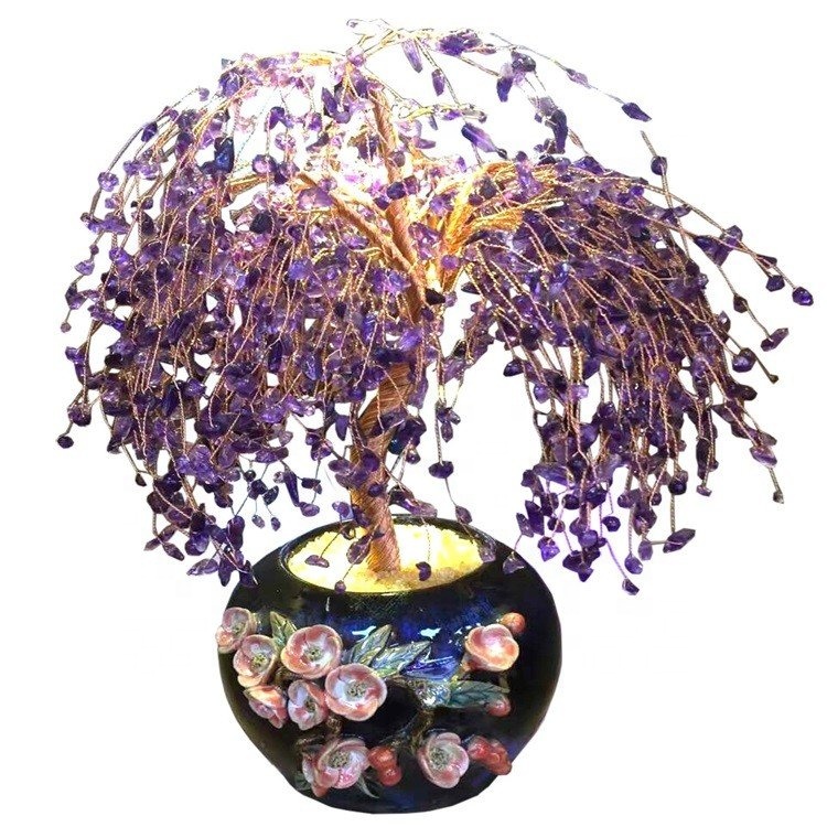 Големисто дърво на съдбата и парите скъпоценени дървета за продажба 9