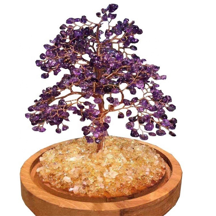 Големисто дърво на съдбата и парите скъпоценени дървета за продажба 11