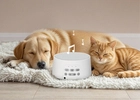 Pet White Noise Machine