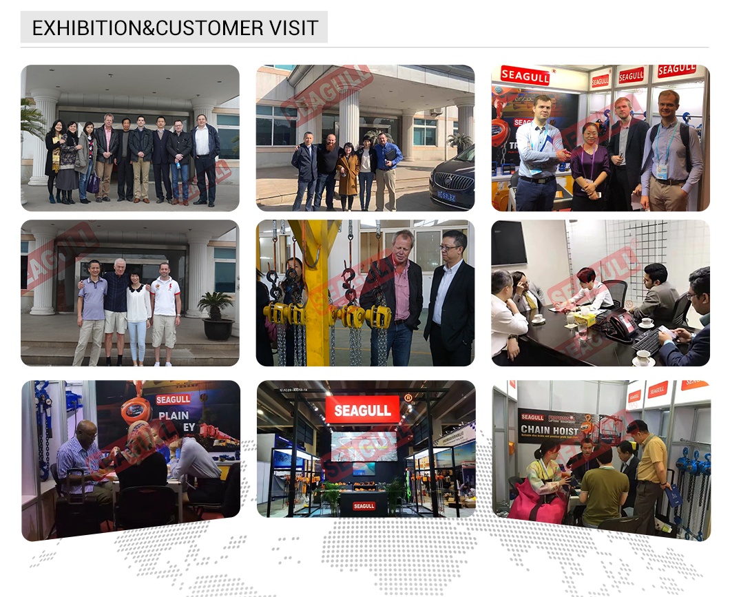 200-1000kg small electric hoist, Home chain hoist 24