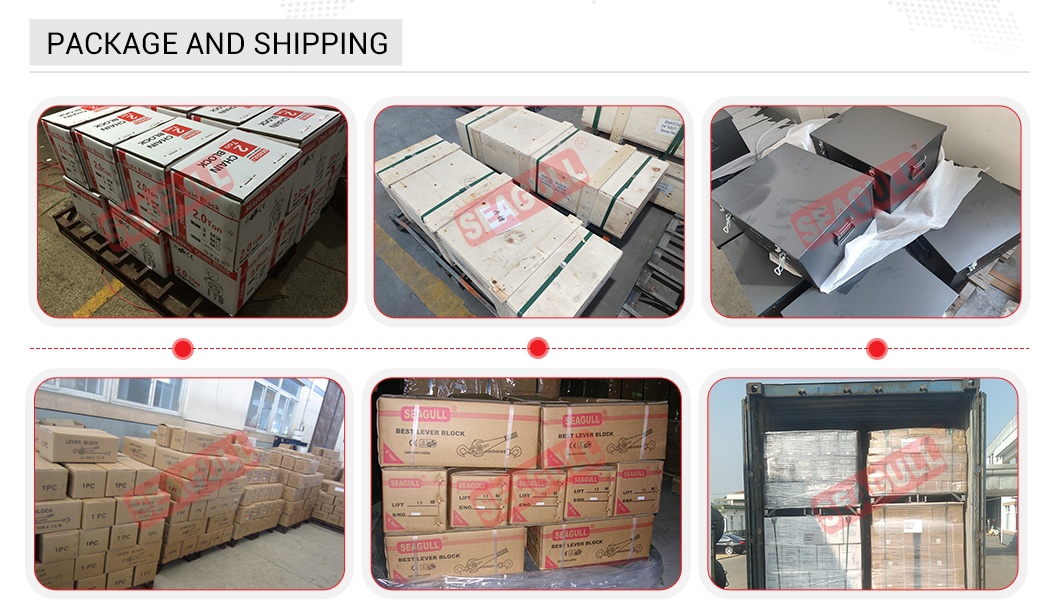 200-1000kg small electric hoist, Home chain hoist 25