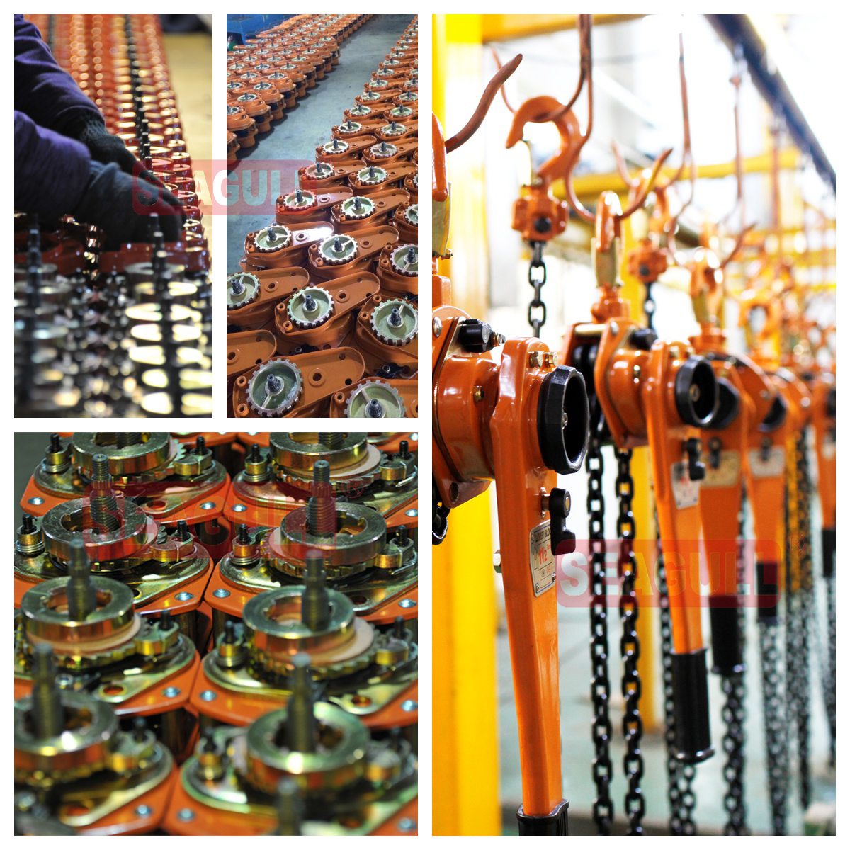 0.75t-6t Seagull/OEM Double Beam Crane Packed in Carton and Pallet Lever Block 13